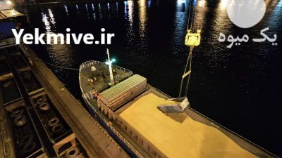مشاوره برای خرید واردات غلات در تهران در گروه خرید و فروش غلات و حبوبات در یکمیوه -عکس4