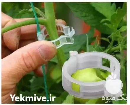 فروش بست بوته گلخانه مدل پلی در تهران در گروه خرید و فروش تجهیزات گلخانه در یکمیوه -عکس1