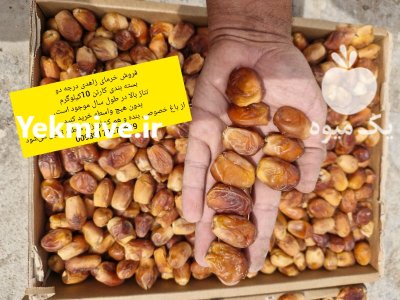 خرما خاصویی فله قیروکارزین در پاکدشت در گروه خرید و فروش خرما در یکمیوه -عکس1