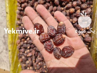 خرما خاصویی فله قیروکارزین در پاکدشت در گروه خرید و فروش خرما در یکمیوه -عکس3