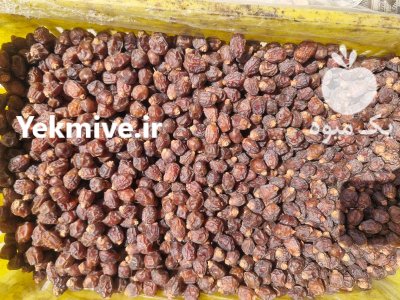 خرما خاصویی فله قیروکارزین در پاکدشت در گروه خرید و فروش خرما در یکمیوه -عکس4