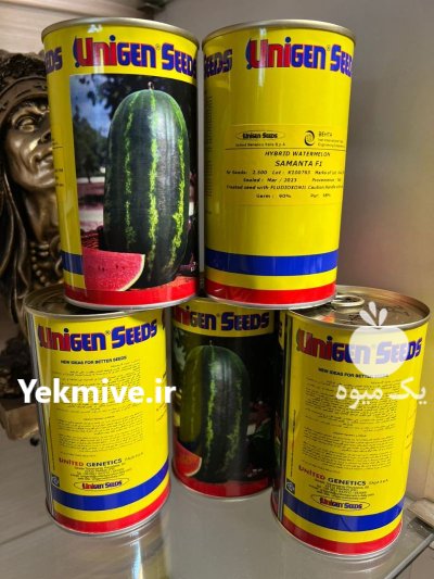 بذر هندوانه یونیژن بذر هندوانه خطی در اهواز در گروه خرید و فروش بذر هندوانه در یکمیوه -عکس1