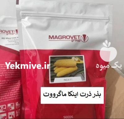 بذر ذرت INCA ماگرووت مجارستان فروش در گروه خرید و فروش بذر ذرت در یکمیوه -عکس1