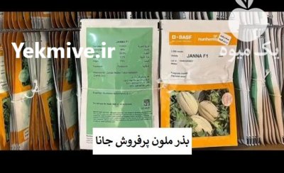 فروش ارسال بذر خربزه جانا BASF در اهواز در گروه خرید و فروش بذر ملون در یکمیوه -عکس1