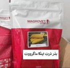 بذر ذرت INCA ماگرووت مجارستان فروش در گروه خرید و فروش بذر ذرت در یکمیوه