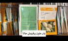 فروش ارسال بذر خربزه جانا BASF در اهواز در گروه خرید و فروش بذر ملون در یکمیوه