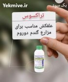 سم علف کش مزارع گندم سم در اهواز در گروه خرید و فروش انواع سم در یکمیوه
