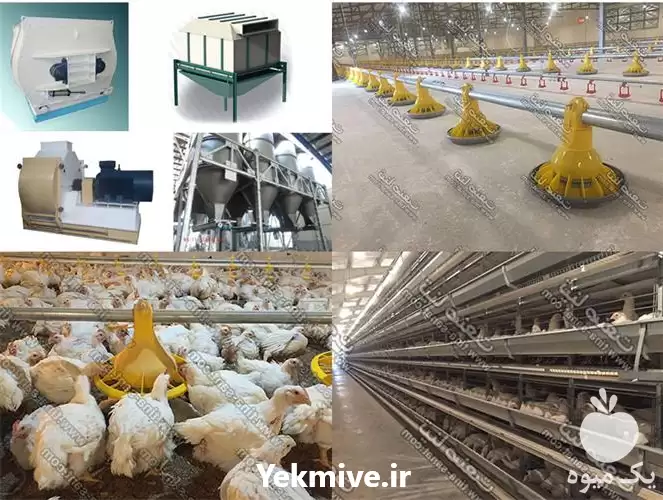 قیمت خرید ماشین آلات دامداری مه در مشهد در گروه تجهیزات مرغداری در یکمیوه -عکس1