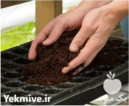 فروش و پخش کوکوپیت در تهران در گروه خرید و فروش انواع کود کشاورزی در یکمیوه -عکس1