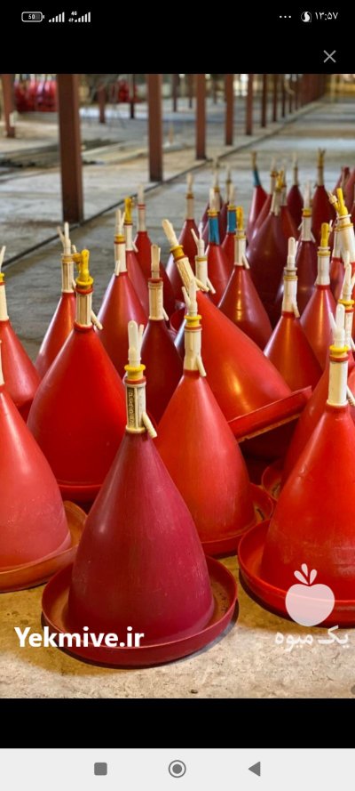 نوین صنعت مرغداری در کرج در گروه تجهیزات مرغداری در یکمیوه -عکس3