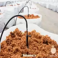 قیمت خرید کوکوپیت سریلانکایی در گروه خرید و فروش انواع کود کشاورزی در یکمیوه