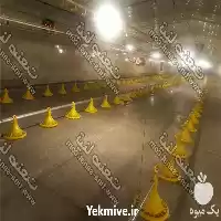 قیمت خرید ماشین آلات خط تولید خوراک دام در گروه خرید و فروش خط تولید در یکمیوه