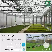قیمت خرید ماشین های نوین آبیاری در کرج در گروه خرید و فروش اتصالات و تجهیزات آبیاری در یکمیوه