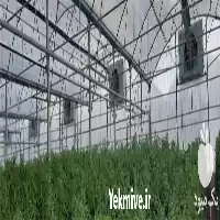 قیمت خرید پد کولر گلخانه ای در قم در گروه خرید و فروش تجهیزات گلخانه در یکمیوه