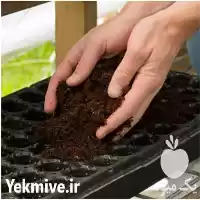 فروش و پخش کوکوپیت در تهران در گروه خرید و فروش انواع کود کشاورزی در یکمیوه