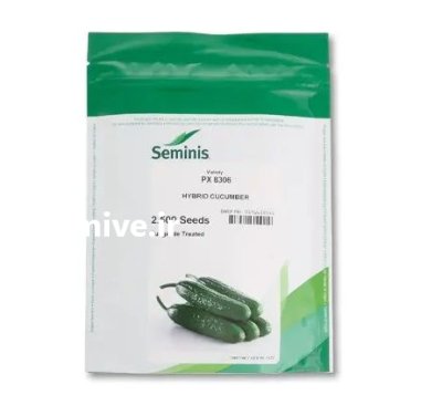 بذر خیار 8306 سمینیس فروش ارسال در گروه خرید و فروش بذر خیار در یکمیوه -عکس1