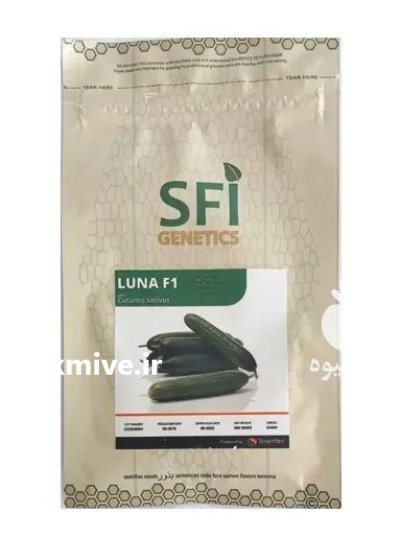 فروش بذر خیار لونا اسپانیا ارسال در اهواز در گروه خرید و فروش بذر خیار در یکمیوه -عکس1