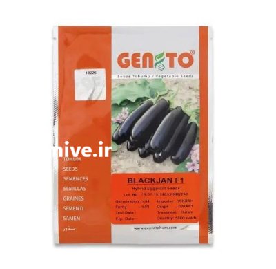 بذر بادمجان قلمی بلک جان در اهواز در گروه خرید و فروش بذر بادمجان در یکمیوه -عکس1