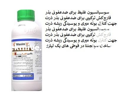 سم قارچ کش ماکسیم ایکس ال در اهواز در گروه خرید و فروش انواع سم در یکمیوه -عکس1