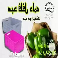انواع سبد میوه در شیراز در گروه خرید و فروش انواع سبد در یکمیوه