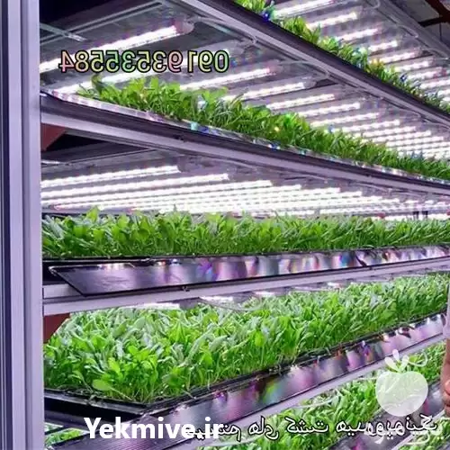 فروش تجهیزات دستگاه های کشت هیدروپونیک در تهران در گروه خرید و فروش دستگاه علوفه در یکمیوه -عکس1