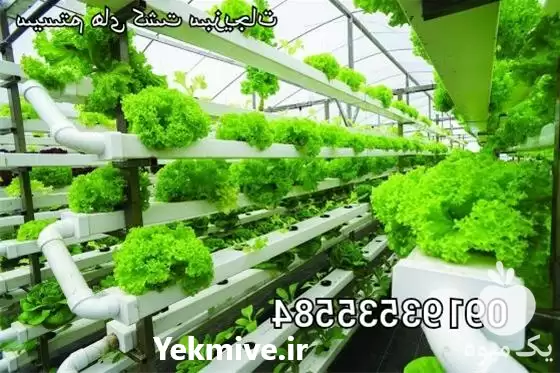 فروش تجهیزات هیدروپونیک کشت سبزیجات در تهران در گروه خرید و فروش تجهیزات هیدروپونیک در یکمیوه -عکس1
