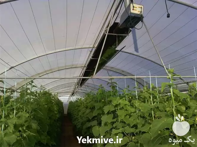 قیمت خرید گرمایش گلخانه در گروه خرید و فروش بخاری و هیتر گلخانه در یکمیوه -عکس1