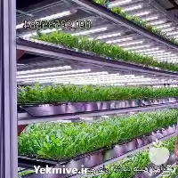 فروش تجهیزات دستگاه های کشت هیدروپونیک در تهران در گروه خرید و فروش دستگاه علوفه در یکمیوه