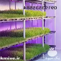 فروش عرضه سینی کشت دستگاه تولید در گروه خرید و فروش دستگاه علوفه در یکمیوه