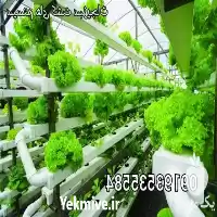 فروش تجهیزات هیدروپونیک کشت سبزیجات در تهران در گروه خرید و فروش تجهیزات هیدروپونیک در یکمیوه