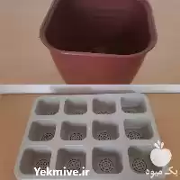 قیمت خرید سینی نشاء برنج گلدان در تهران در گروه خرید و فروش نشا در یکمیوه