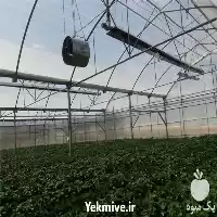 قیمت خرید هیتر گازی سقفی گلخانه در ارومیه در گروه خرید و فروش بخاری و هیتر گلخانه در یکمیوه