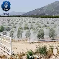 قیمت خرید توری سایبان گلخانه در شیراز در گروه خرید و فروش توری گلخانه در یکمیوه