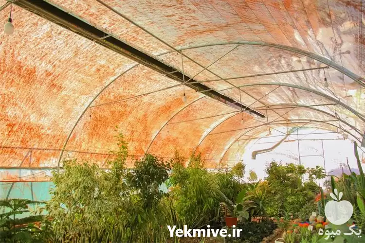 فروش گرماتاب گلخانه در گروه خرید و فروش بخاری و هیتر گلخانه در یکمیوه -عکس1