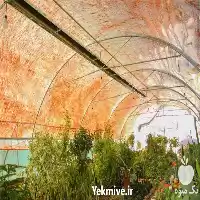 فروش گرماتاب گلخانه در گروه خرید و فروش بخاری و هیتر گلخانه در یکمیوه