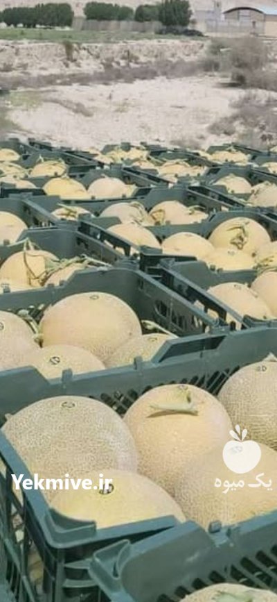 بارفروشی و حق العمل کاری امامی در تهران در گروه بارفروشی محصولات کشاورزی در یکمیوه -عکس3