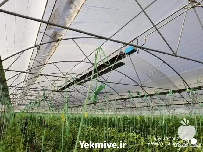 قیمت خرید گرمایش گازی گلخانه در تهران در گروه خرید و فروش تجهیزات گلخانه در یکمیوه -عکس1