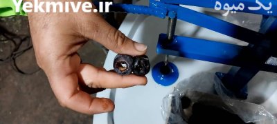 زیتونچین و هسته گیر زیتون و خرما در جیرفت در گروه خرید و فروش زیتون در یکمیوه -عکس4