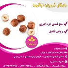 فروش روغن فندق اصل و خالص در ری  در گروه خرید و فروش انواع روغن در یکمیوه