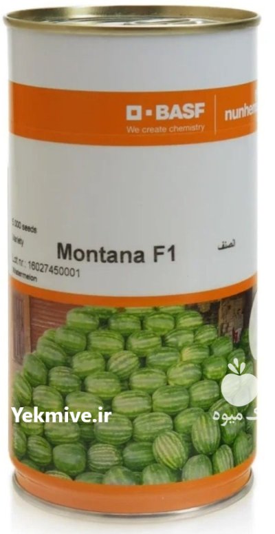 بذر هندوانه مونتانا BASF فروش ارسال در اهواز در گروه خرید و فروش بذر هندوانه در یکمیوه -عکس1