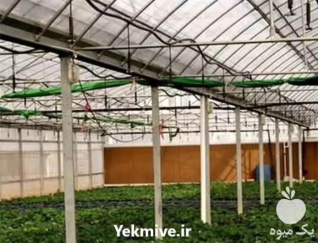 فروش پد سلولزی گلخانه با بهترین در اصفهان در گروه خرید و فروش تجهیزات گلخانه در یکمیوه -عکس1