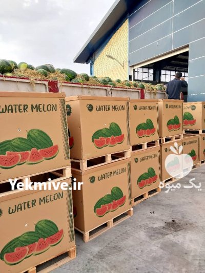 باکس پالت کارتنی هندوانه صادراتی در گروه خرید و فروش انواع بسته بندی کارتن در یکمیوه -عکس2