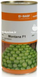 بذر هندوانه مونتانا BASF فروش ارسال در اهواز در گروه خرید و فروش بذر هندوانه در یکمیوه