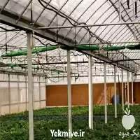 فروش پد سلولزی گلخانه با بهترین در اصفهان در گروه خرید و فروش تجهیزات گلخانه در یکمیوه