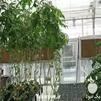 فروش پد سلولزی گلخانه در ساری در گروه خرید و فروش تجهیزات گلخانه در یکمیوه