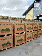 باکس پالت کارتنی هندوانه صادراتی در گروه خرید و فروش انواع بسته بندی کارتن در یکمیوه