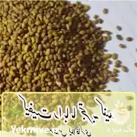 قیمت خرید بذر یونجه دیم اصل در تبریز در گروه خرید و فروش بذر یونجه در یکمیوه