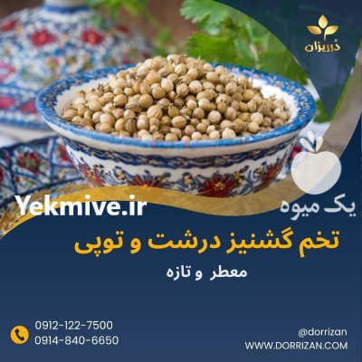 فروش عمده تخم گشنیز فروش پودر در ری  در گروه خرید و فروش دانه های روغنی در یکمیوه -عکس1
