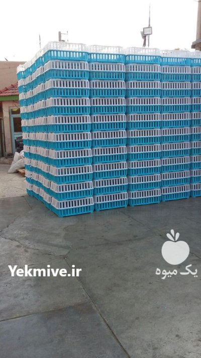 فروش قفس حمل مرغ زنده در تاکستان در گروه تجهیزات مرغداری در یکمیوه -عکس3