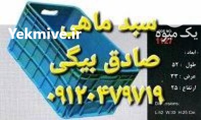 فروش سبد ماهی سبد شیلاتی و آبزیان در تاکستان در گروه خرید و فروش انواع سبد در یکمیوه -عکس1